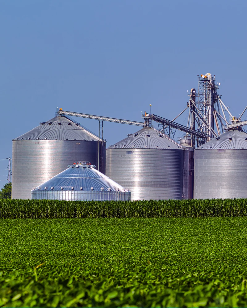 Imagem industrial representativa do segmento Agronegócio